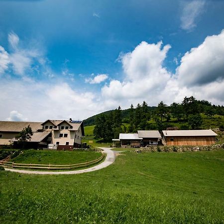 Tourist Farm Pr'Dovar 戈雷尼斯卡地区采尔克列 外观 照片