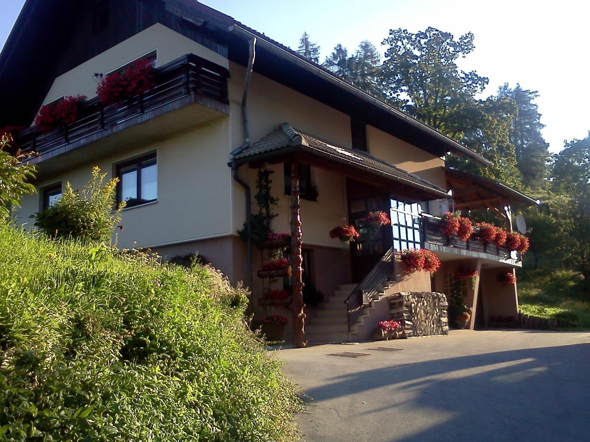 Tourist Farm Pr'Dovar 戈雷尼斯卡地区采尔克列 外观 照片