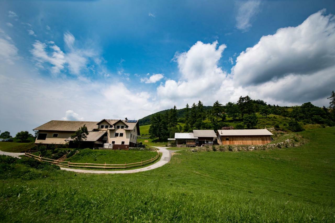 Tourist Farm Pr'Dovar 戈雷尼斯卡地区采尔克列 外观 照片